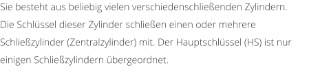 Sie besteht aus beliebig vielen verschiedenschlieenden Zylindern.  Die Schlssel dieser Zylinder schlieen einen oder mehrere Schliezylinder (Zentralzylinder) mit. Der Hauptschlssel (HS) ist nur einigen Schliezylindern bergeordnet.