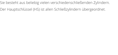 Sie besteht aus beliebig vielen verschiedenschlieenden Zylindern.  Der Hauptschlssel (HS) ist allen Schliezylindern bergeordnet.