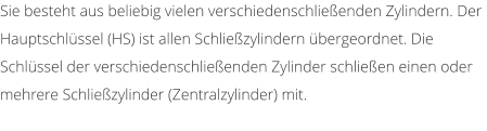 Sie besteht aus beliebig vielen verschiedenschlieenden Zylindern. Der Hauptschlssel (HS) ist allen Schliezylindern bergeordnet. Die Schlssel der verschiedenschlieenden Zylinder schlieen einen oder mehrere Schliezylinder (Zentralzylinder) mit.