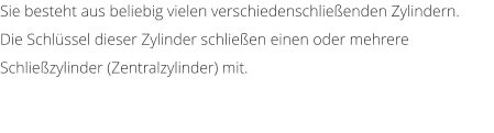 Sie besteht aus beliebig vielen verschiedenschlieenden Zylindern.  Die Schlssel dieser Zylinder schlieen einen oder mehrere Schliezylinder (Zentralzylinder) mit.